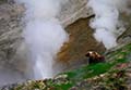 Долина гейзеров – волшебный уголок природы на Камчатке